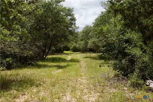 000 Fordtran Rd Tract 9, Thomaston, TX 77954 - Photo 21
