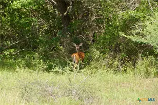 000 Fordtran Rd Tract 9, Thomaston, TX 77954 - Photo 35
