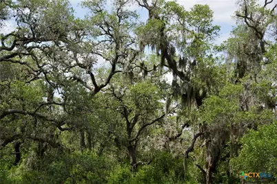000 Fordtran Rd Tract 9, Thomaston, TX 77954 - Photo 11