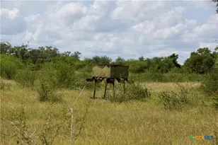 000 Zengerle Rd Tract 10, Thomaston, TX 77954 - Photo 31