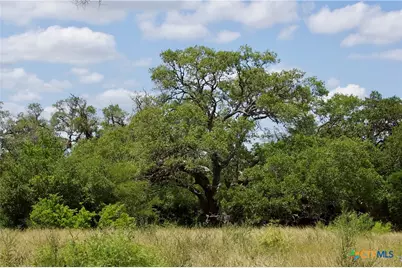 000 Zengerle Rd Tract 10, Thomaston, TX 77954 - Photo 7