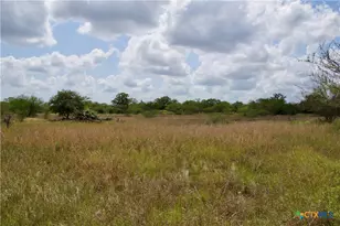 000 Zengerle Rd Tract 10, Thomaston, TX 77954 - Photo 23