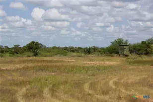 000 Zengerle Rd Tract 12, Thomaston, TX 77954 - Photo 33