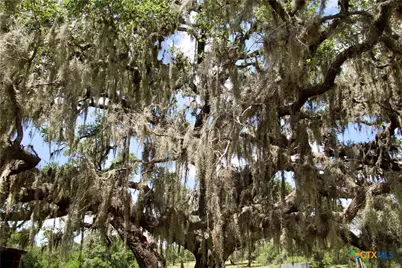 000 Zengerle Rd Tract 12, Thomaston, TX 77954 - Photo 5