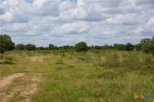 000 Zengerle Rd Tract 12, Thomaston, TX 77954 - Photo 29