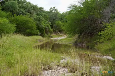 000 Zengerle Rd Tract 13, Thomaston, TX 77954 - Photo 39
