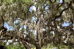 000 Zengerle Rd Tract 13, Thomaston, TX 77954 - Photo 5