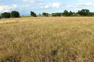 6020 FM3158, Dale, TX 78616 - Photo 25