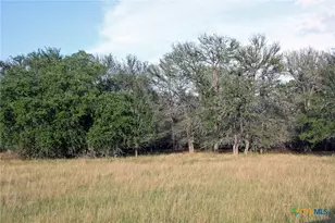 6020 FM3158, Dale, TX 78616 - Photo 29