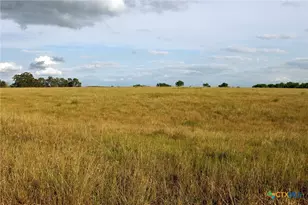 6020 FM3158, Dale, TX 78616 - Photo 15