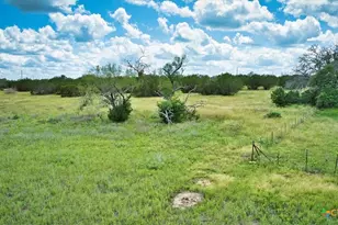 555 Summer Hl Ln, Johnson City, TX 78636 - Photo 15