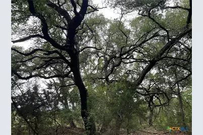 1021 Santa Fe Trail, Spring Branch, TX 78070 - Photo 5