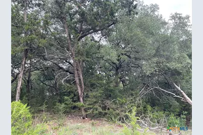 1021 Santa Fe Trail, Spring Branch, TX 78070 - Photo 3