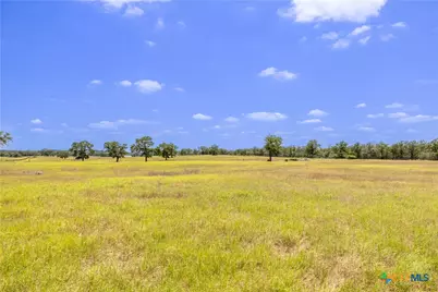 2901 Mule Creek Road, Harwood, TX 78632 - Photo 13