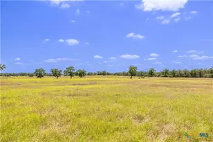 2901 Mule Creek Rd, Harwood, TX 78632 - Photo 11