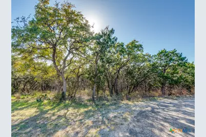 223 Lakeview Circle, Spring Branch, TX 78070 - Photo 1