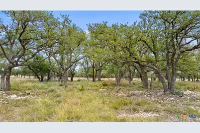 65 Miles Ln, Harper, TX 78631 - Photo 17