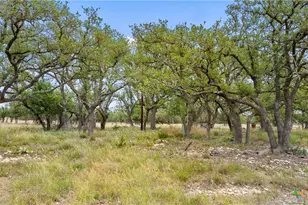 65 Miles Ln, Harper, TX 78631 - Photo 17