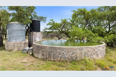 65 Miles Ln, Harper, TX 78631 - Photo 23