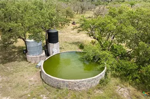 65 Miles Ln, Harper, TX 78631 - Photo 9