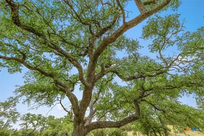 65 Miles Ln, Harper, TX 78631 - Photo 27