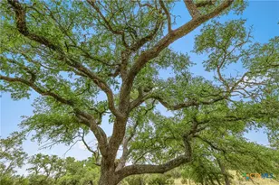 65 Miles Ln, Harper, TX 78631 - Photo 27