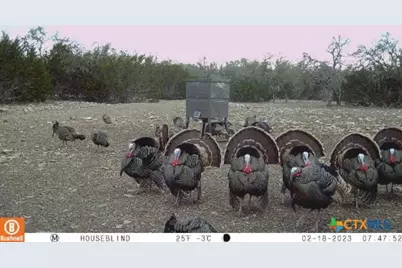 65 Miles Ln, Harper, TX 78631 - Photo 5