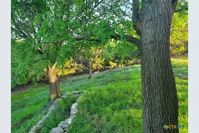 120 Buena Vista, Blanco, TX 78606 - Photo 35