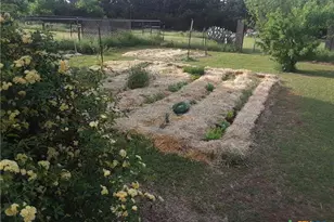 120 Buena Vista, Blanco, TX 78606 - Photo 29