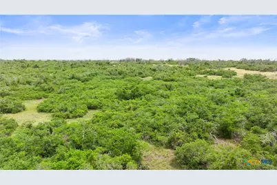 3049 Reservation Road, Harper, TX 78631 - Photo 9