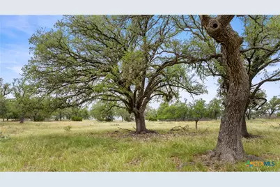 3049 Reservation Road, Harper, TX 78631 - Photo 19