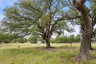 3049 Reservation Rd, Harper, TX 78631 - Photo 19