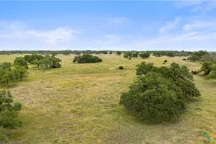 3049 Reservation Rd, Harper, TX 78631 - Photo 43