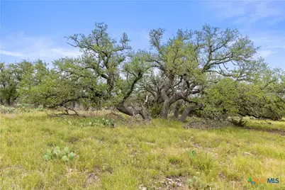 3049 Reservation Road, Harper, TX 78631 - Photo 25