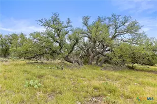 3049 Reservation Rd, Harper, TX 78631 - Photo 25