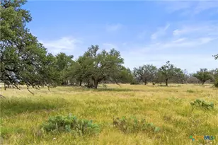 3049 Reservation Rd, Harper, TX 78631 - Photo 23