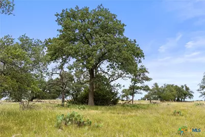 3049 Reservation Road, Harper, TX 78631 - Photo 27