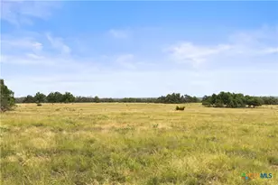 3049 Reservation Rd, Harper, TX 78631 - Photo 39