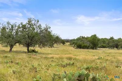 3049 Reservation Road, Harper, TX 78631 - Photo 33