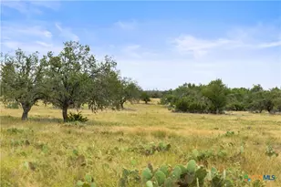 3049 Reservation Rd, Harper, TX 78631 - Photo 33