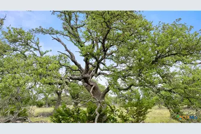 3049 Reservation Road, Harper, TX 78631 - Photo 41