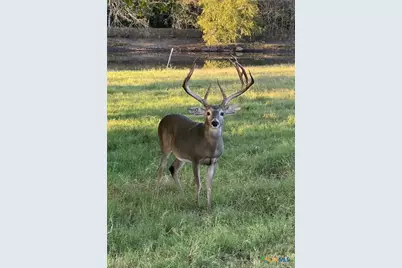 10745 Rosemar Lane, Adkins, TX 78101 - Photo 27