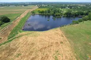 10745 Rosemar Ln, Adkins, TX 78101 - Photo 35