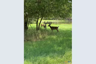 10745 Rosemar Lane, Adkins, TX 78101 - Photo 27