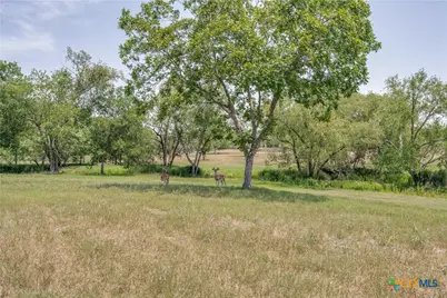 10745 Rosemar Lane, Adkins, TX 78101 - Photo 25