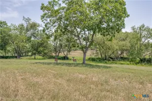 10745 Rosemar Ln, Adkins, TX 78101 - Photo 25