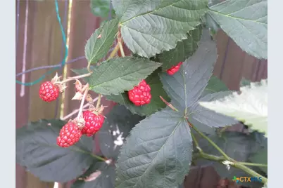 310 Rattan Drive, Victoria, TX 77901 - Photo 27