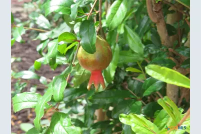 310 Rattan Drive, Victoria, TX 77901 - Photo 29