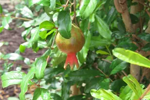 310 Rattan Dr, Victoria, TX 77901 - Photo 29