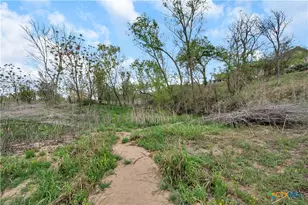 [Address not provided], Kingsland, TX 78639 - Photo 39